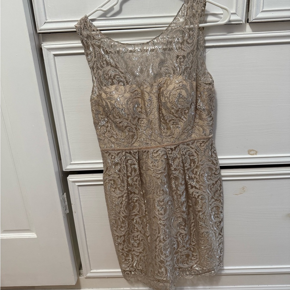 Jenny Yoo Metallic Lace Mini Dress